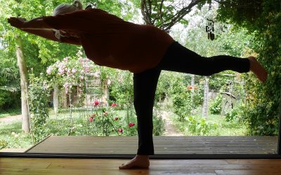 Protégé : 2025/2026 – Yoga à la maison 8 – Le dos, stabilité et fluidité.